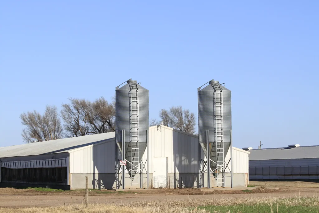 Reforma de Granja Suinícola es