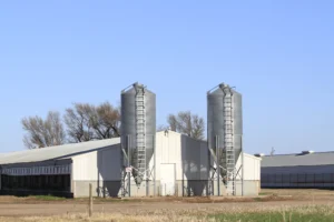 Reforma de Granja Suinícola es